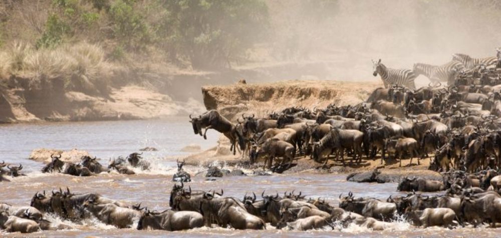 6-day Safari: Standard Accommodation – Mara River Crossing