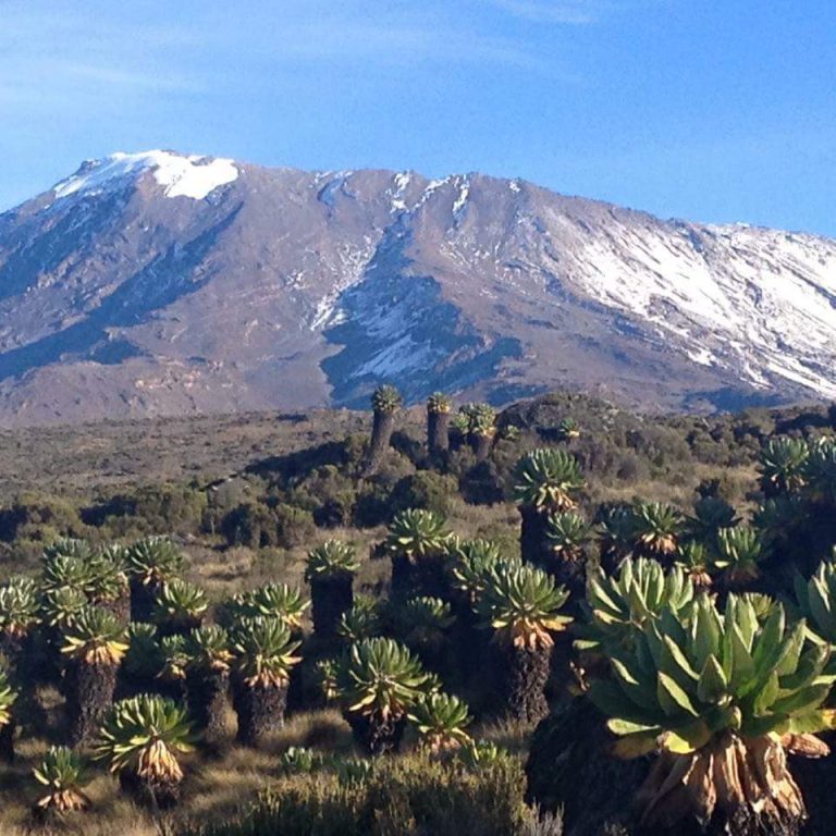 6 Days Mount Kilimanjaro climbing Itinerary on Rongai Route