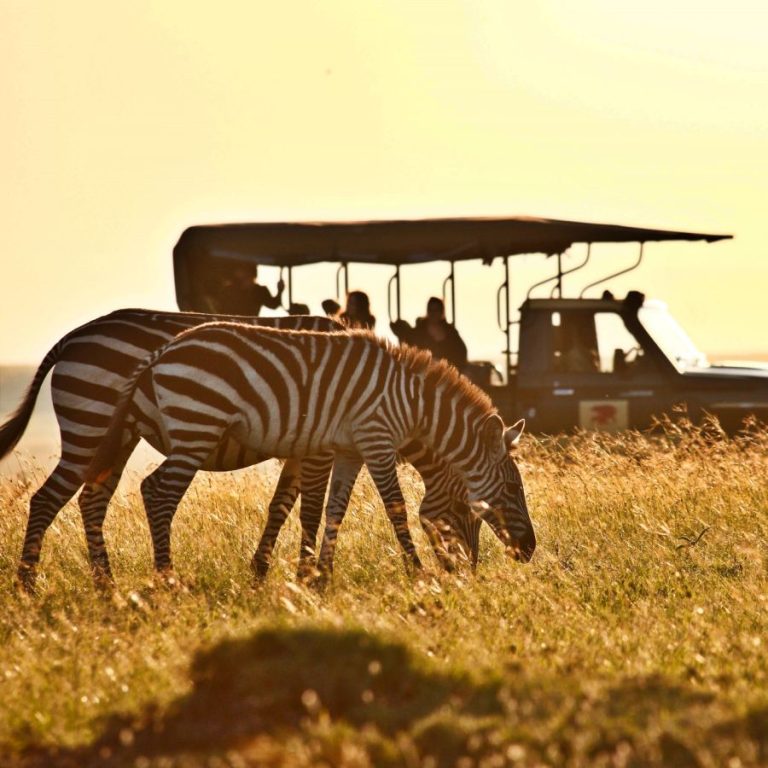 6 Days – Tarangire, Lake Manyara, Serengeti, Ngorongoro Crater Safari Itinerary