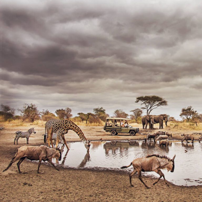 7 Day – Lake Manyara, Serengeti, Ngorongoro, Tarangire Safari Itinerary