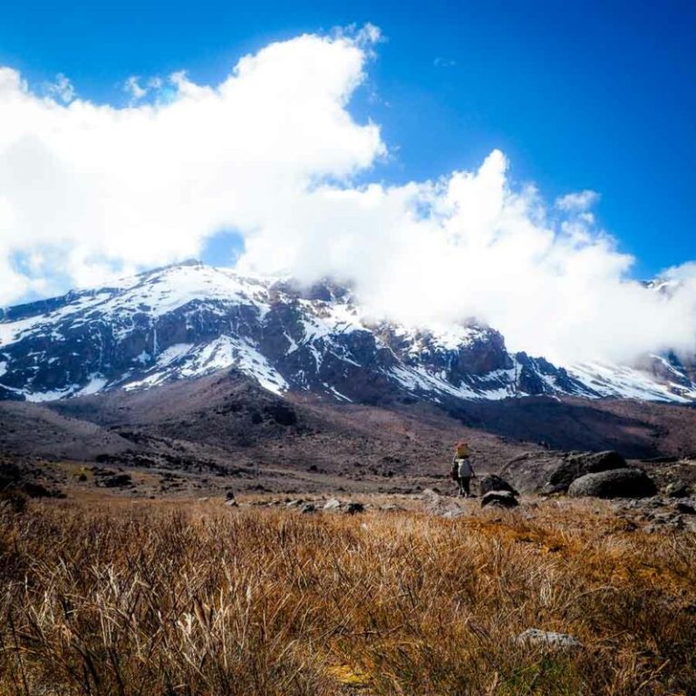 7 Days Mount Kilimanjaro climbing Itinerary on Umbwe Route