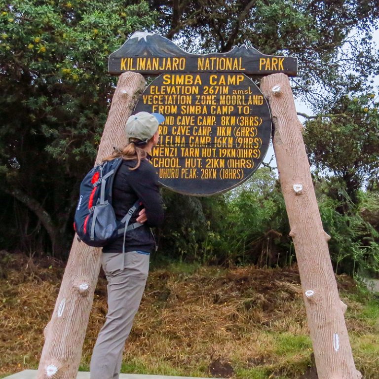 8 Days Mount Kilimanjaro climbing Itinerary on Rongai Route