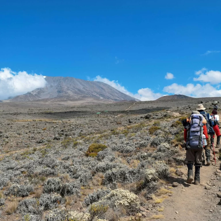 9 Days Mount Kilimanjaro climbing Itinerary on Northern Circuit Route