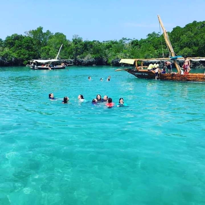 Half-Day – Mnemba Island Snorkeling Tour