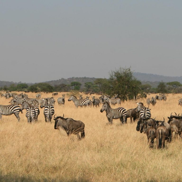 Ibanda-Kyerwa National Park