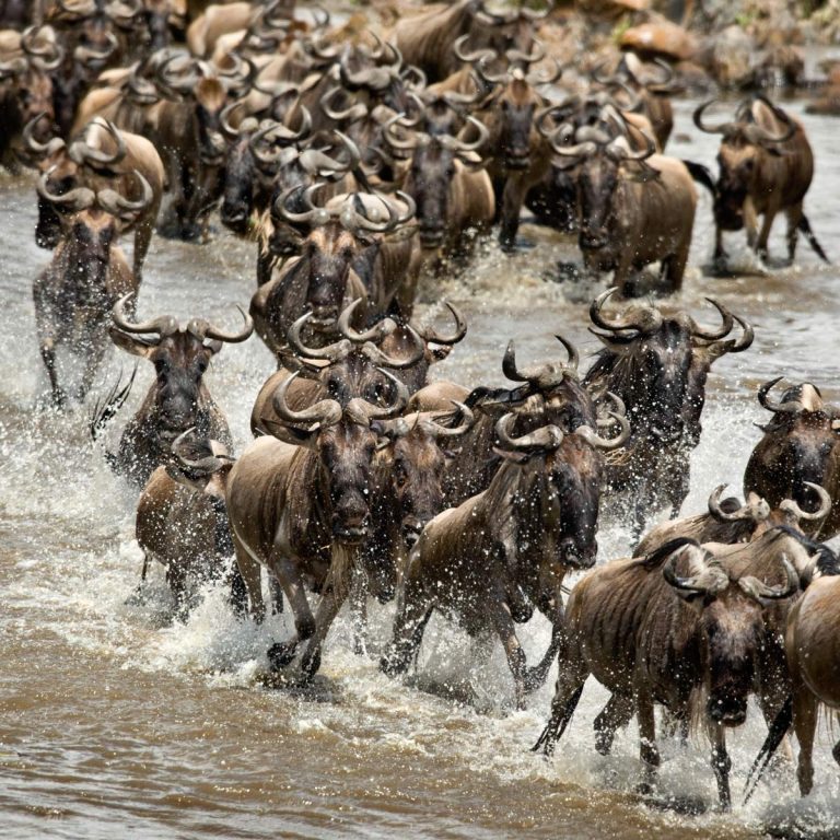 Lake Manyara National Park