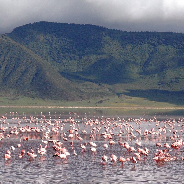 Ngorongoro Conservation Area