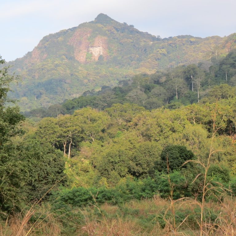 Udzungwa Mountains National Park