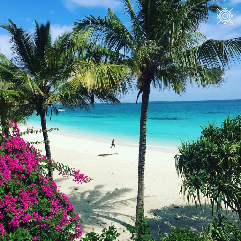 Zanzibar Bawe Island Snorkeling